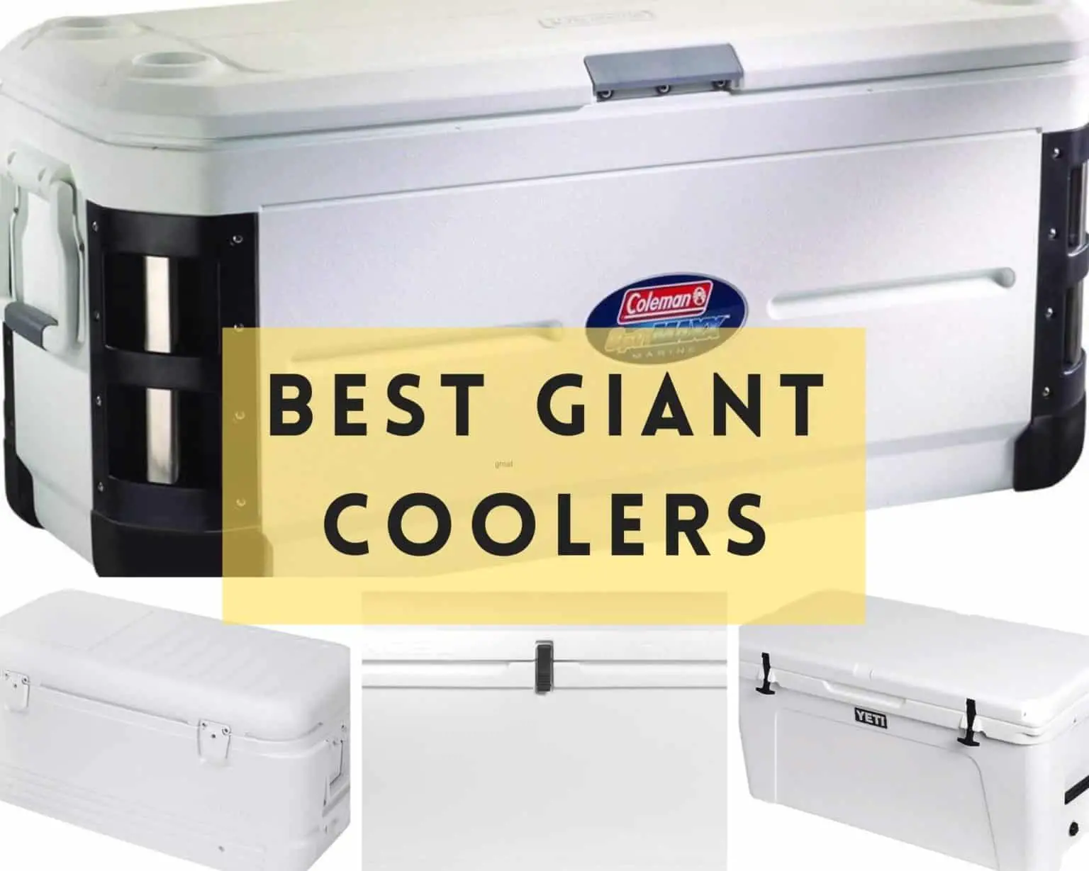 Best Giant Coolers Reviews 2023 Top Large Ice Chests