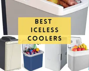 Best Iceless Coolers