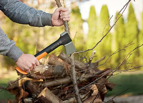 Camping hatchet cutting sappling