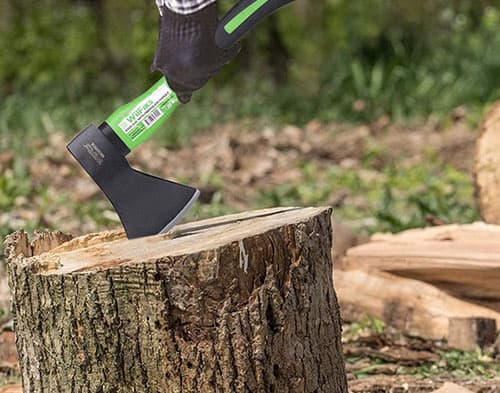 Camping hatchet in tree stump