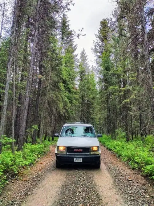 GMC car on a forest drive