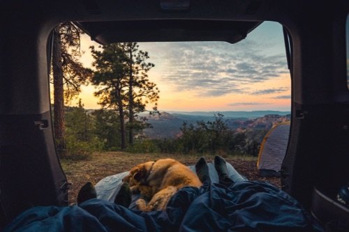 Sleeping in a tent